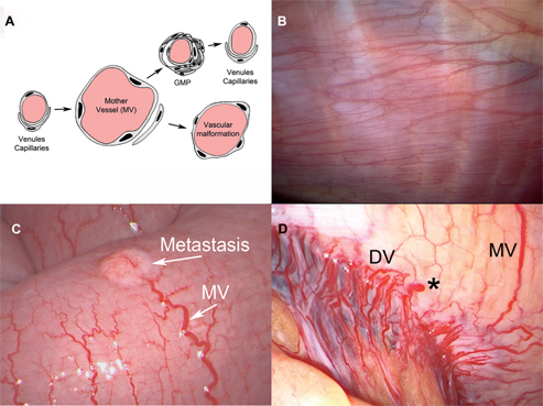 Figure 3: