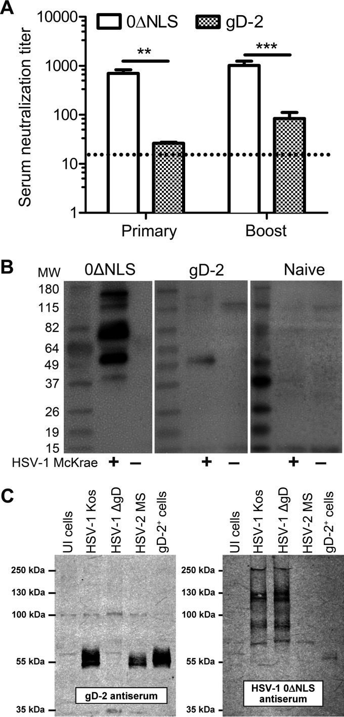 FIG 6