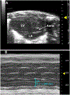 Figure 2:
