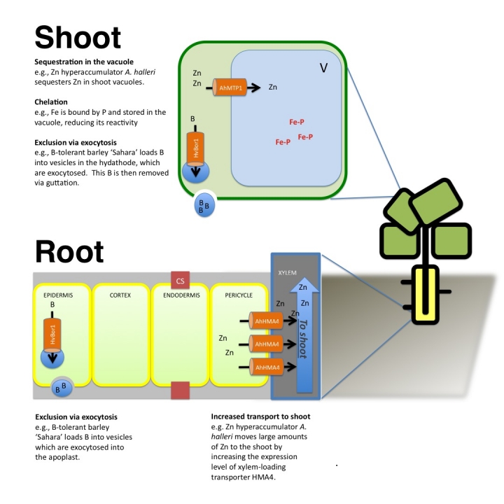 Figure 1.