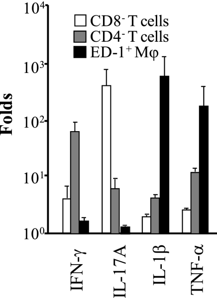 Fig. 10.