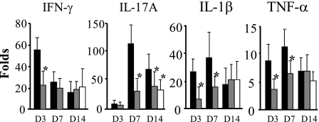 Fig. 9.