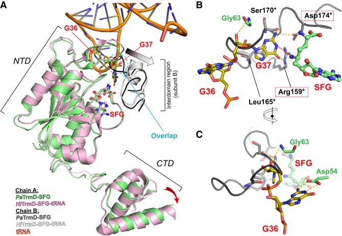 FIGURE 4.