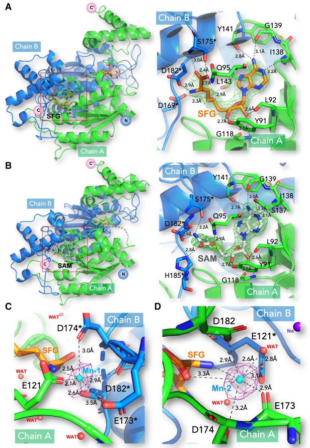 FIGURE 3.