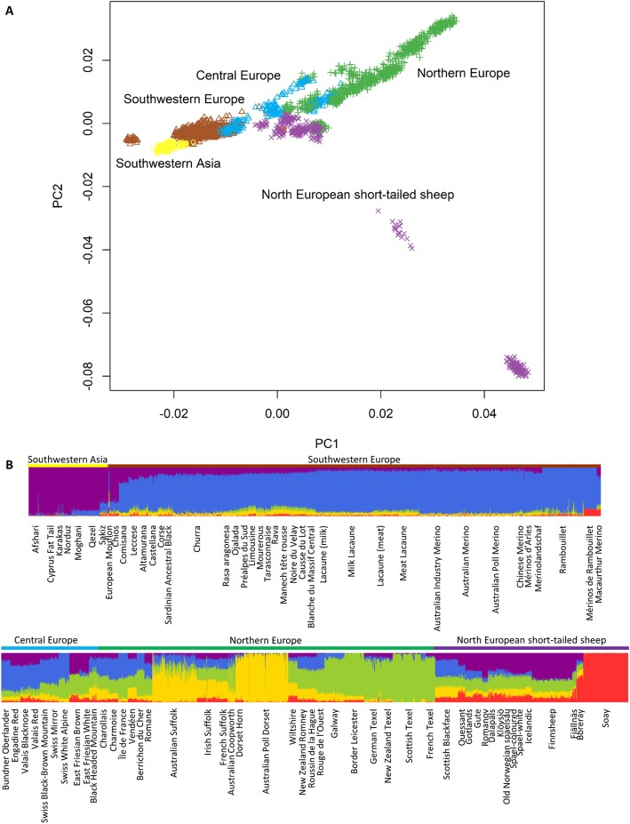 Fig. 2