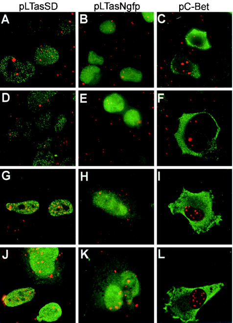 FIG. 4.