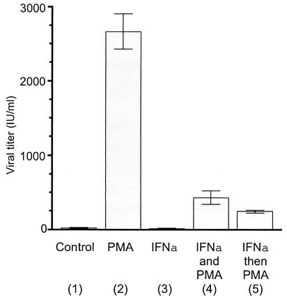 FIG. 5.