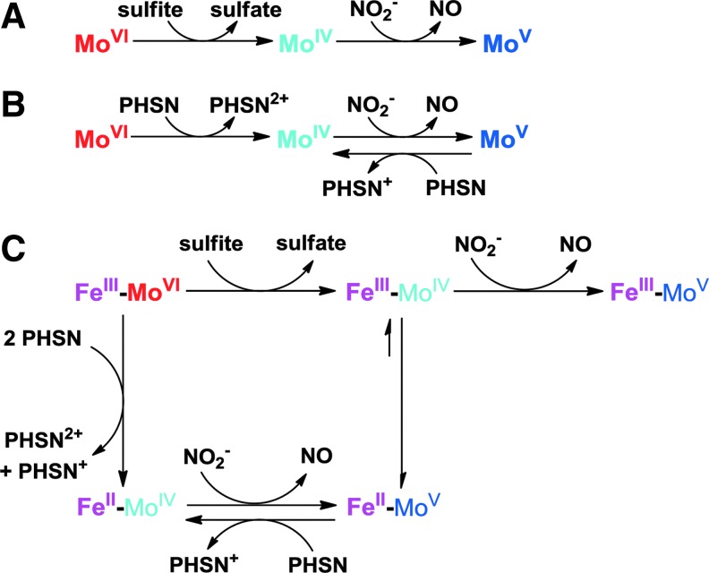 FIG. 7.