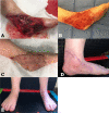 Figure 1: