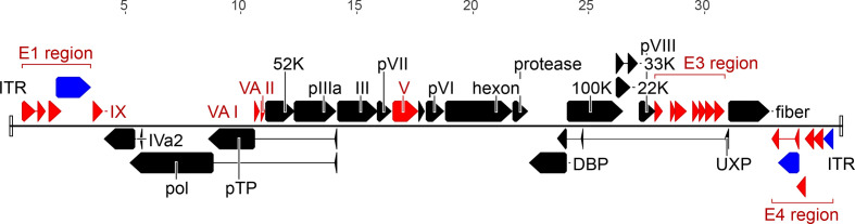 Fig. 2.