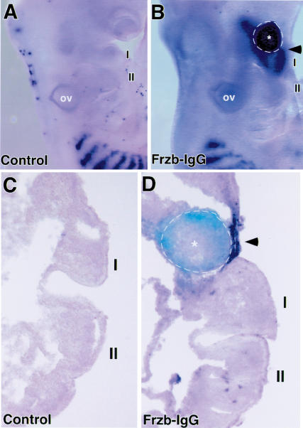 Figure 6.