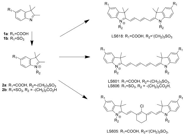 Scheme 1