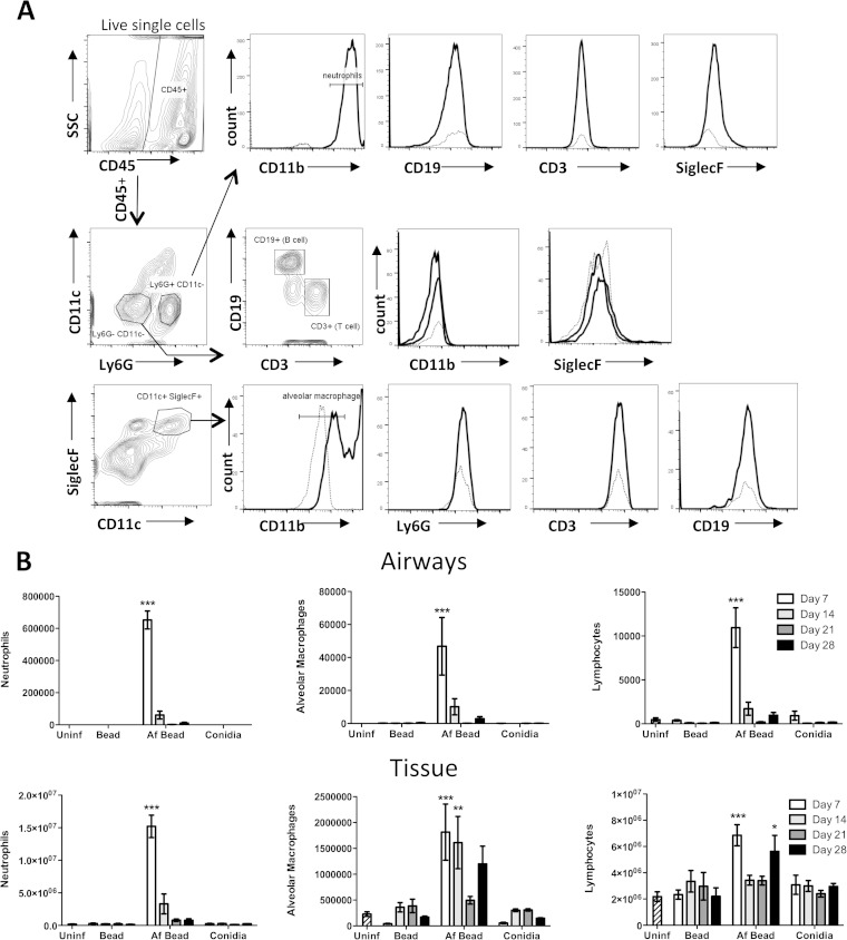 FIG 4