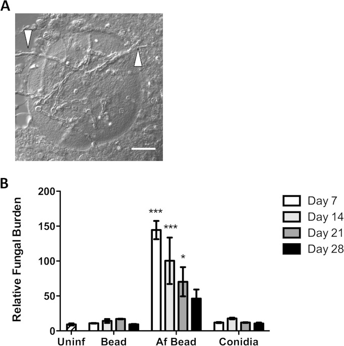 FIG 3