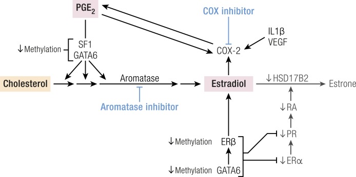 Figure 16.