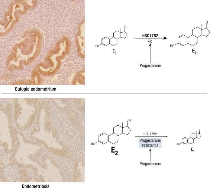 Figure 14.