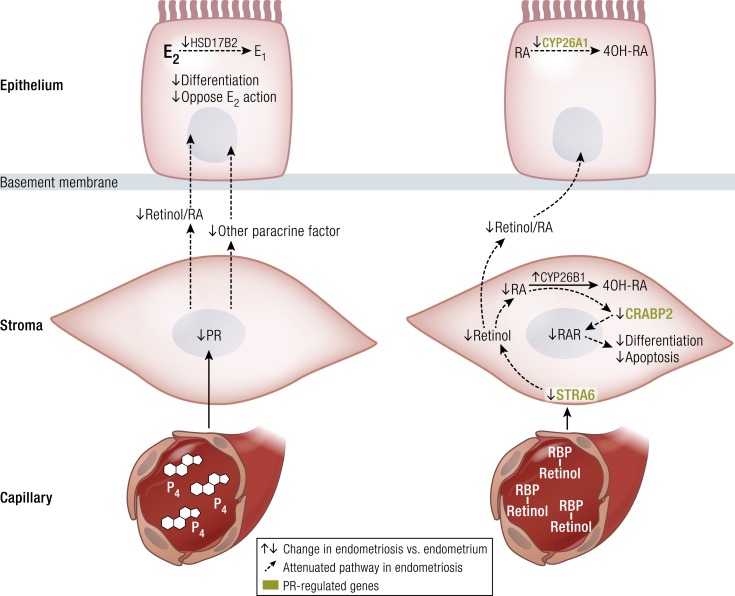 Figure 15.