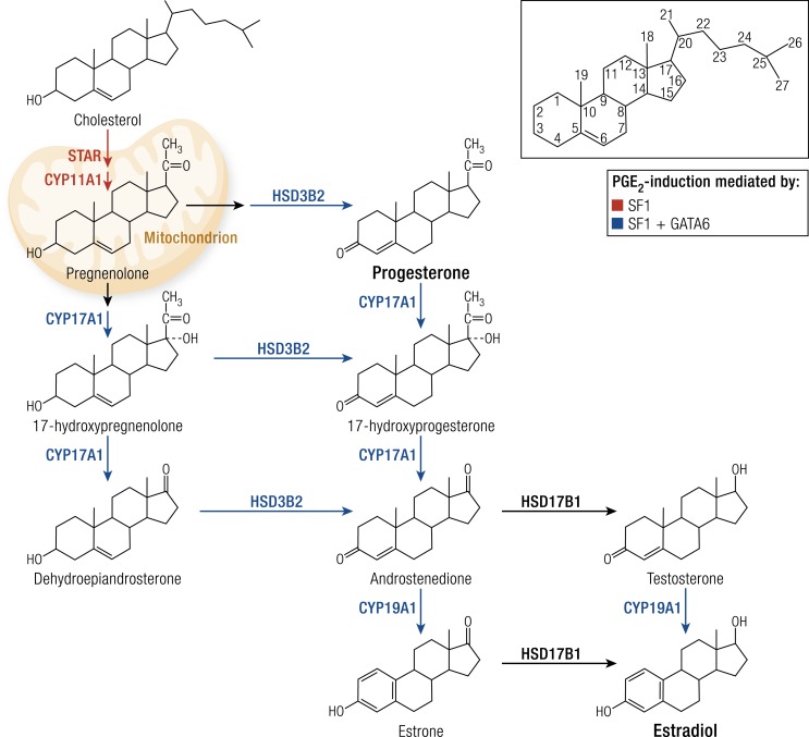 Figure 10.