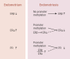 Figure 11.