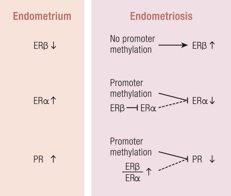 Figure 11.