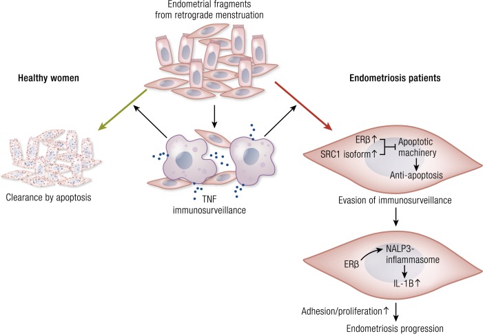 Figure 13.