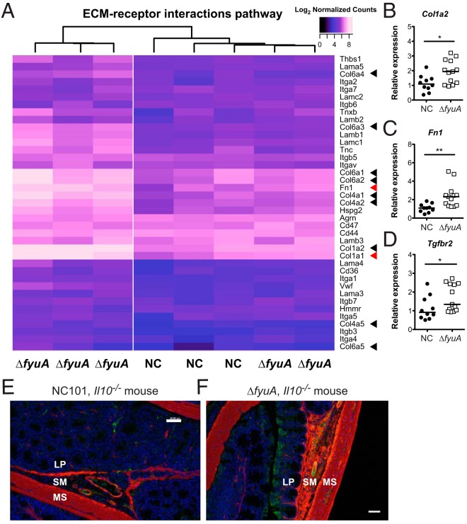 FIG 6