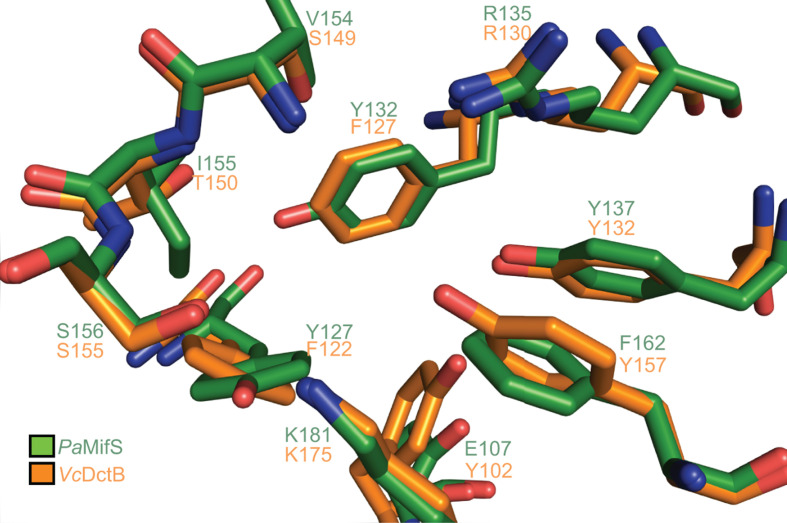 Fig. 7.