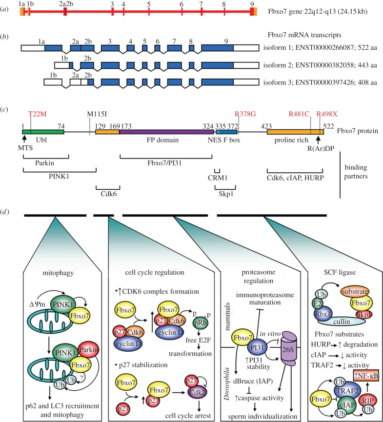 Figure 3.