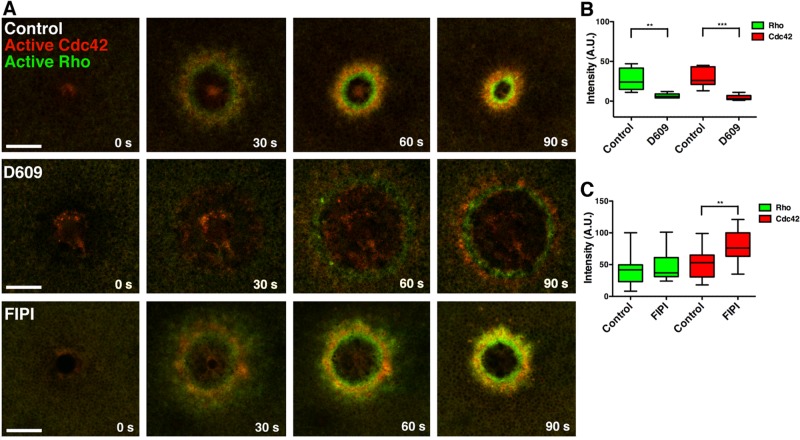 FIGURE 4: