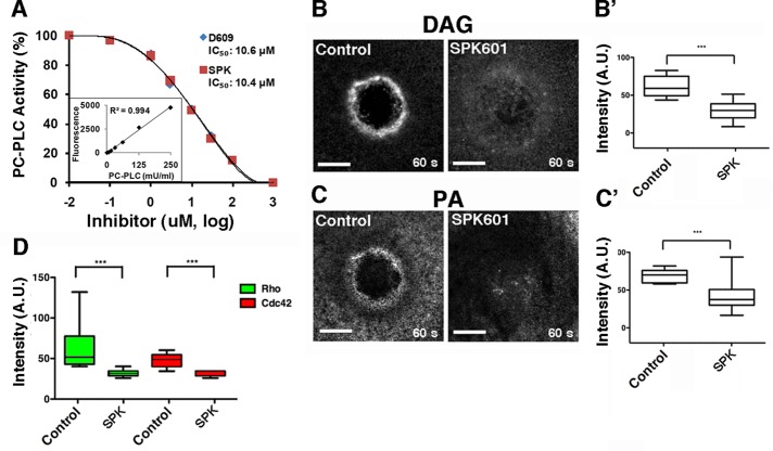 FIGURE 5: