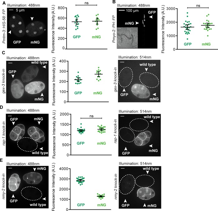 FIGURE 3: