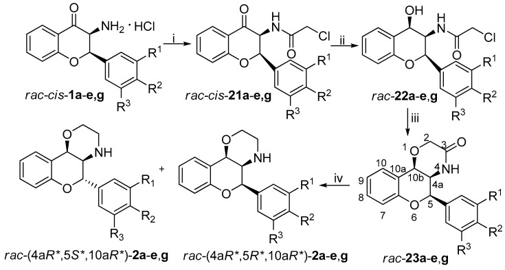 Scheme 5