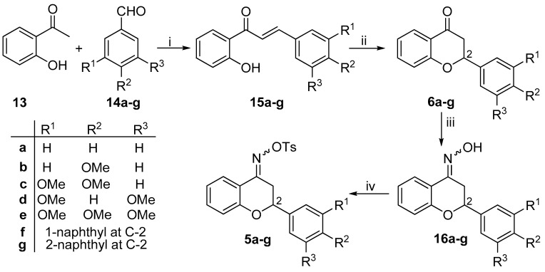 Scheme 2