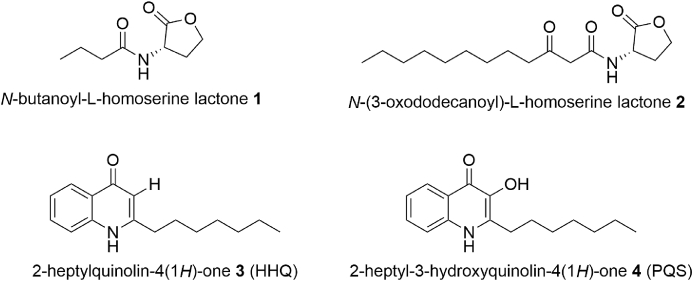 Fig. 1