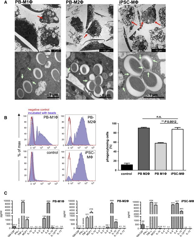 Figure 3