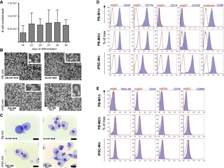 Figure 2