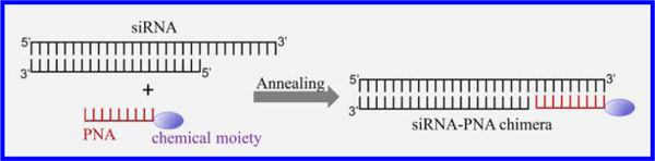 graphic file with name nihms-1030348-f0001.jpg