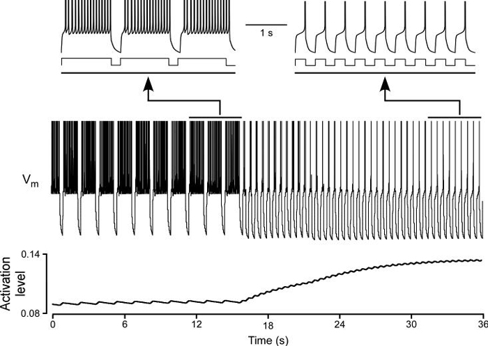 Figure 10