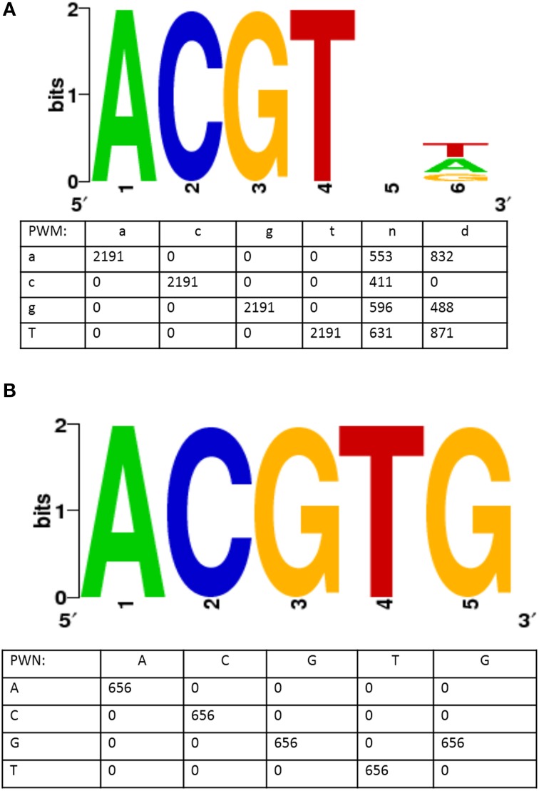 Figure 6