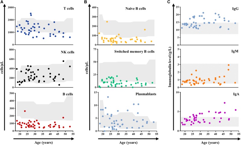 FIGURE 3