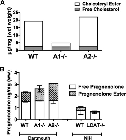 FIGURE 7.