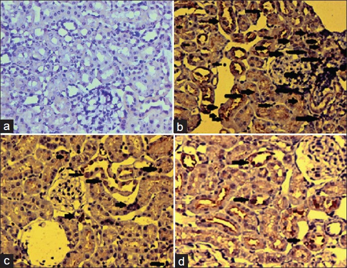 Figure 3a-d