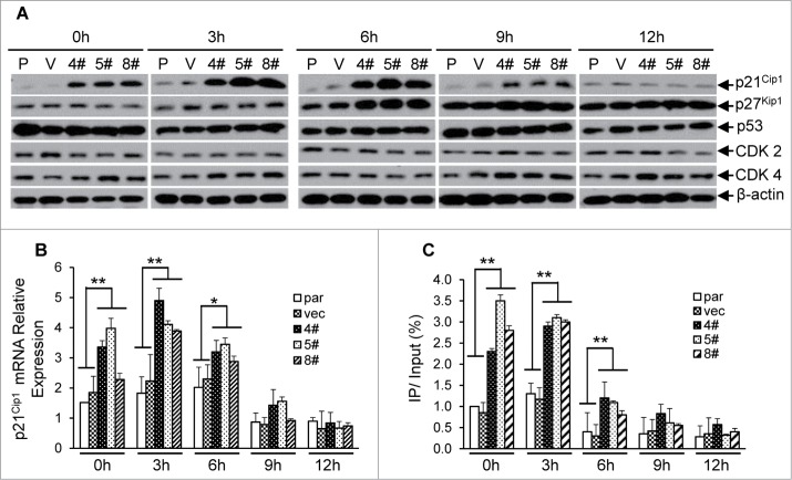 Figure 6.