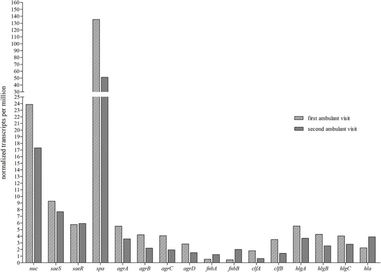 Figure 11