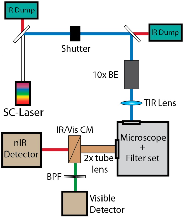Figure 1.