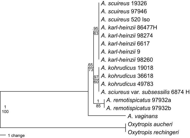 Fig 4