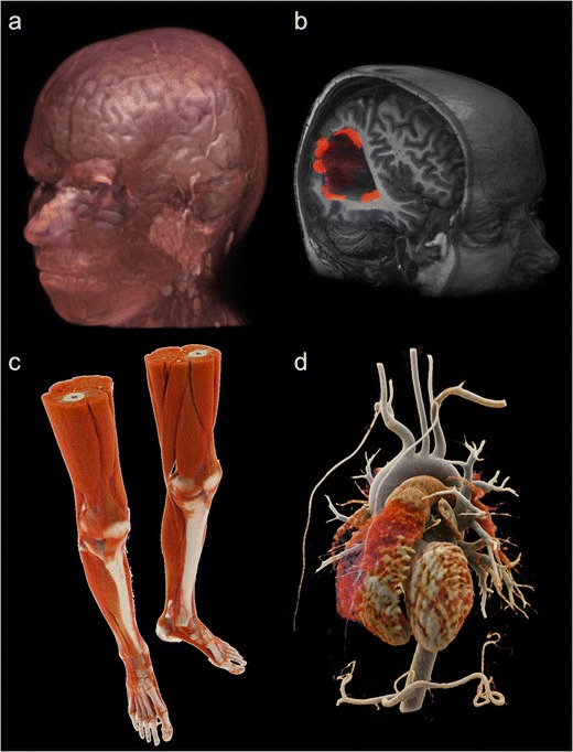 Fig. 8