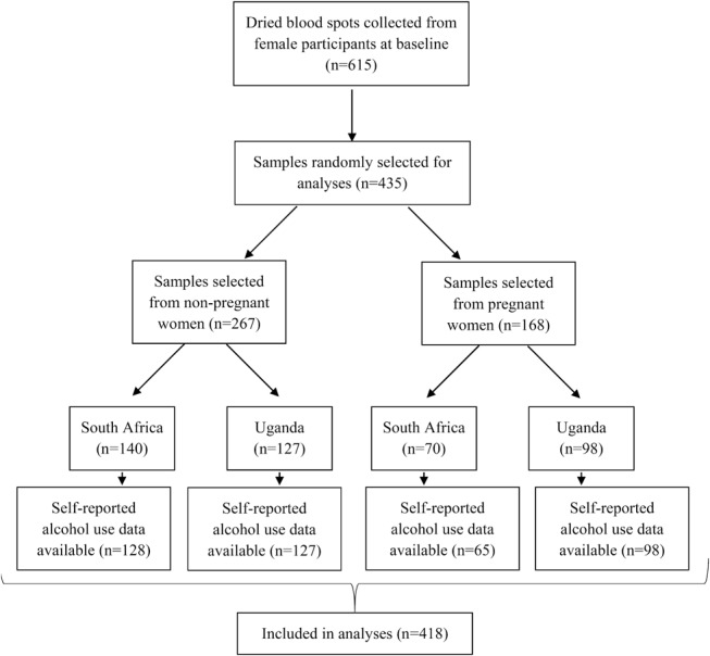 FIGURE 1.