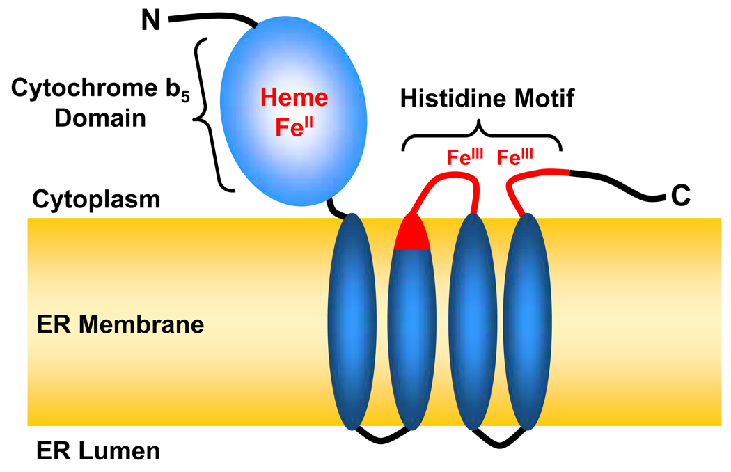 Fig. 2