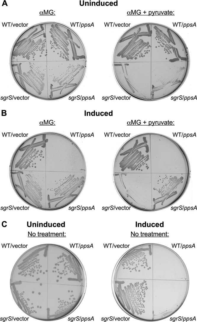 Fig 6